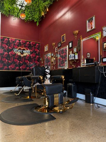 Velvet Waves Studio Ventura